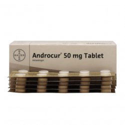 Андрокур (Ципротерон) таблетки 50мг №50 в Курске и области фото